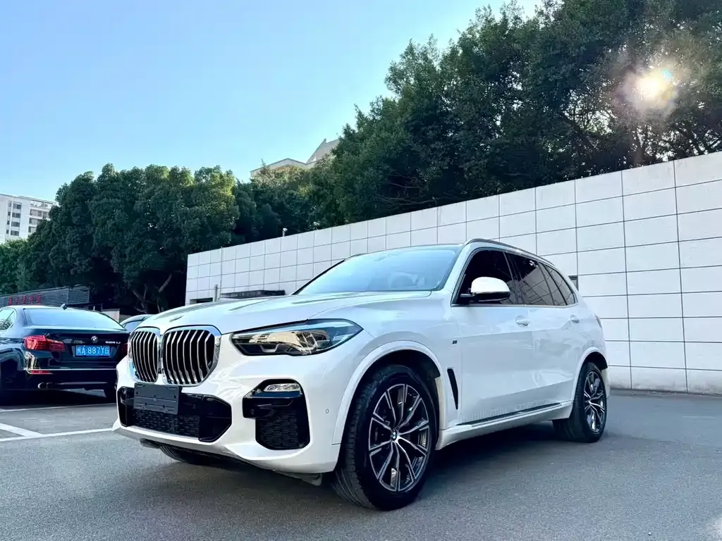 BMW X5 (Import) 2021 из CN, фото 1