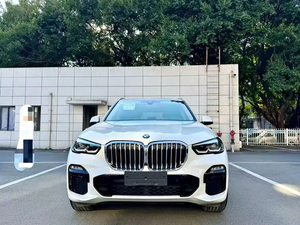 BMW X5 (Import) 2021 из CN, фото 8