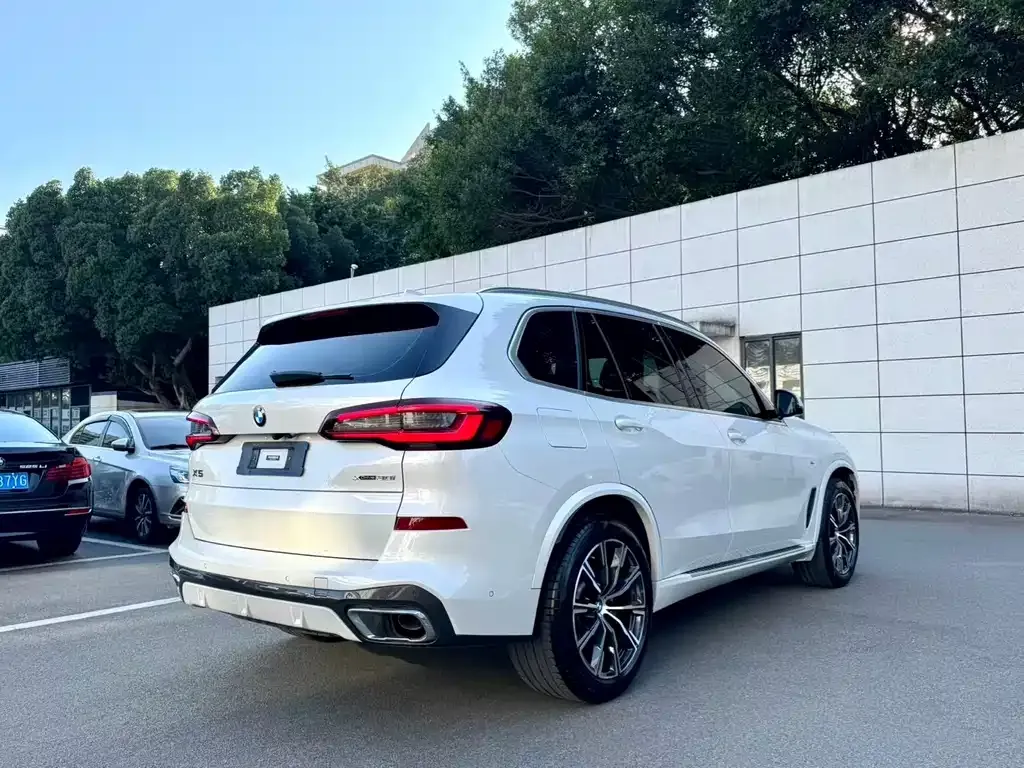 BMW X5 (Import) 2021 из CN, фото 3