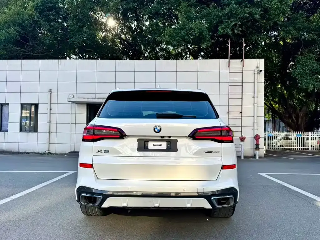 BMW X5 (Import) 2021 из CN, фото 9