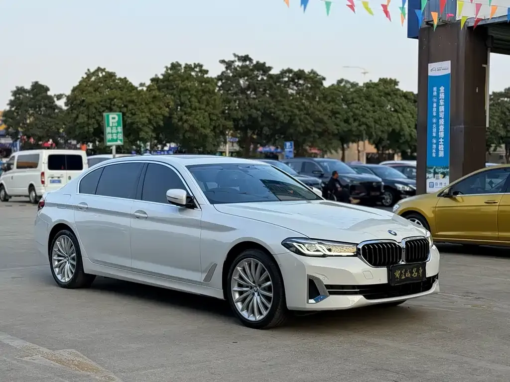 BMW 5 Series 2023 из CN, фото 3