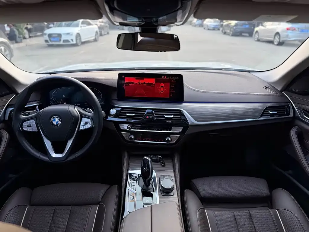 BMW 5 Series 2023 из CN, фото 9