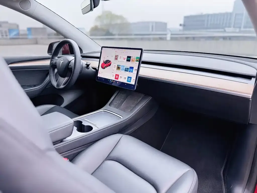 Tesla Model Y 2021 из CN, фото 9