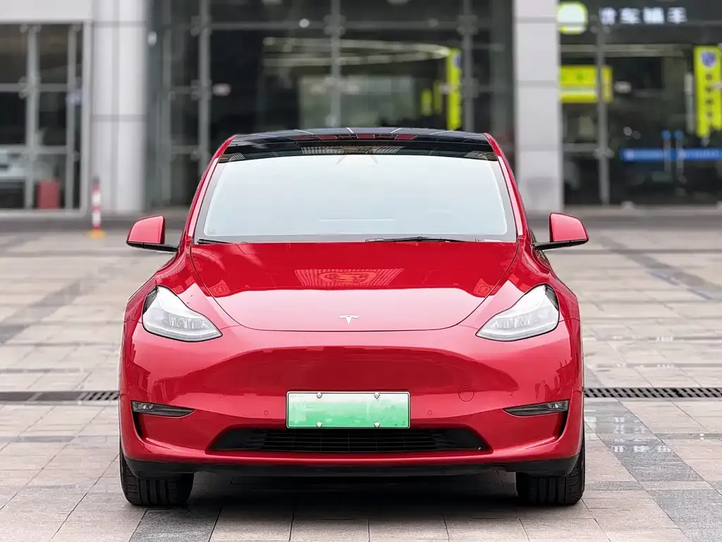 Tesla Model Y 2021 из CN, фото 4
