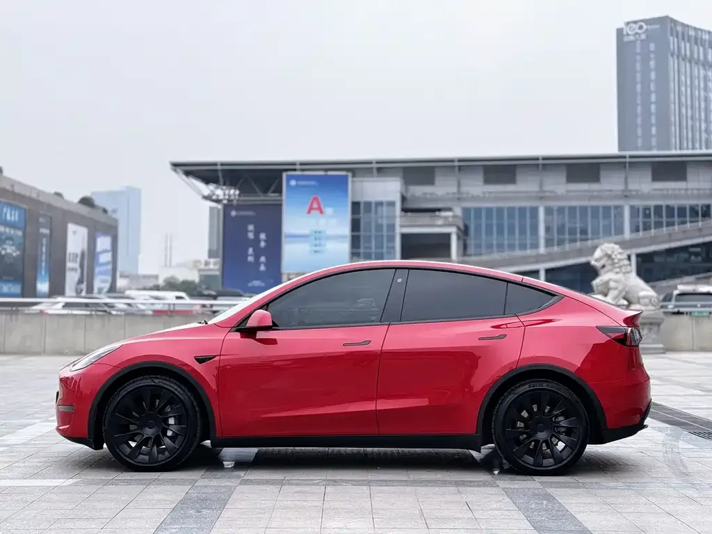 Tesla Model Y 2021 из CN, фото 6