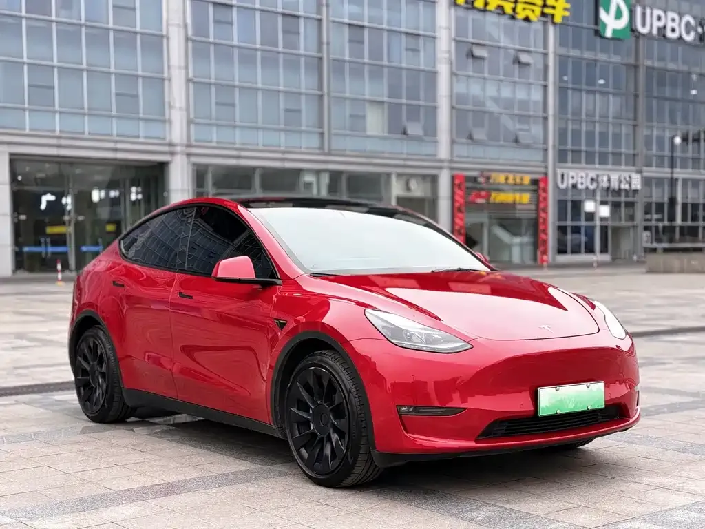 Tesla Model Y 2021 из CN, фото 5