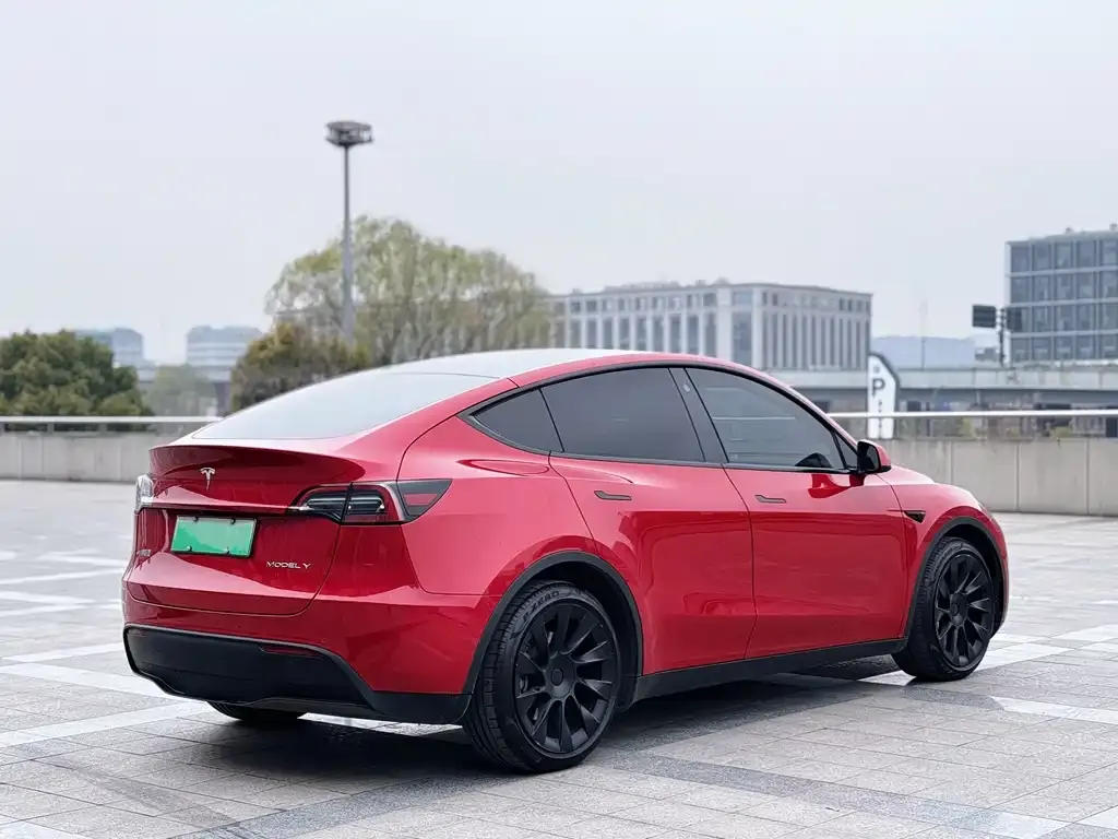 Tesla Model Y 2021 из CN, фото 2