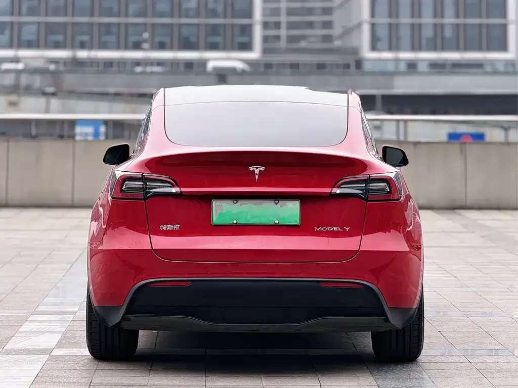 Tesla Model Y 2021 из CN, фото 10