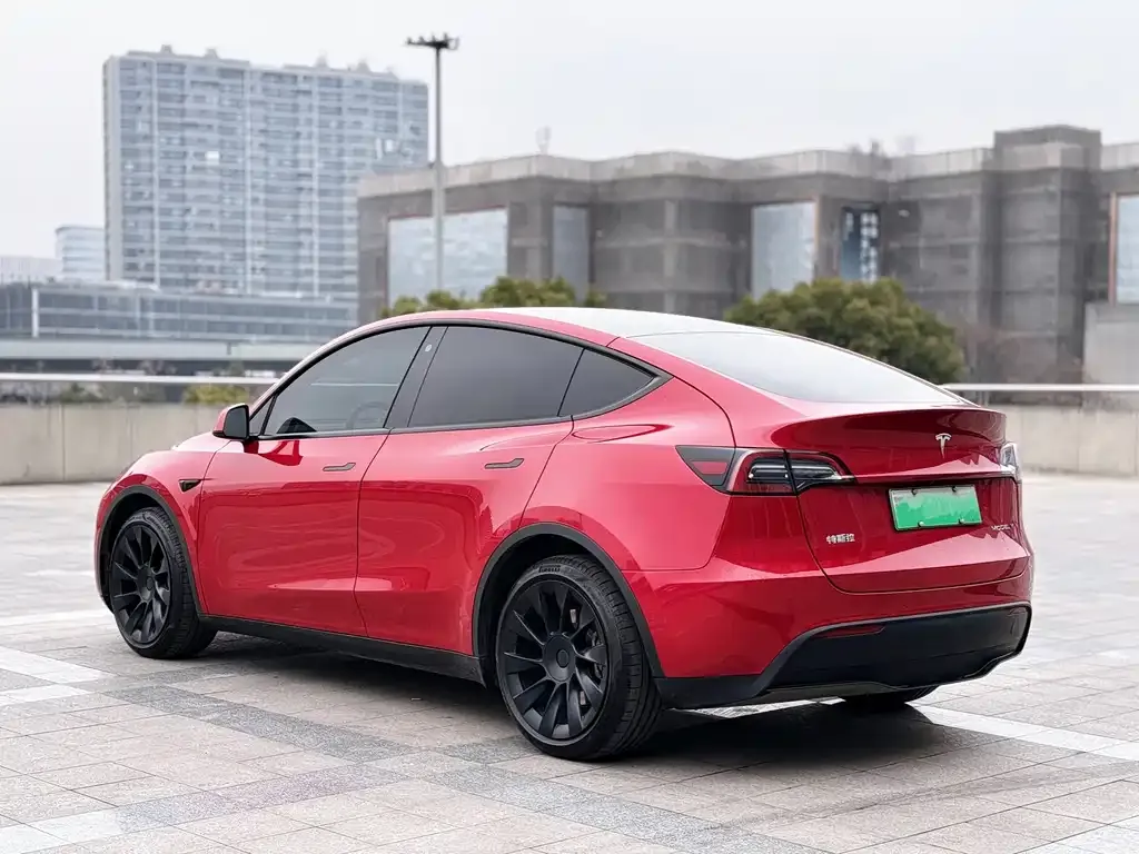 Tesla Model Y 2021 из CN, фото 8