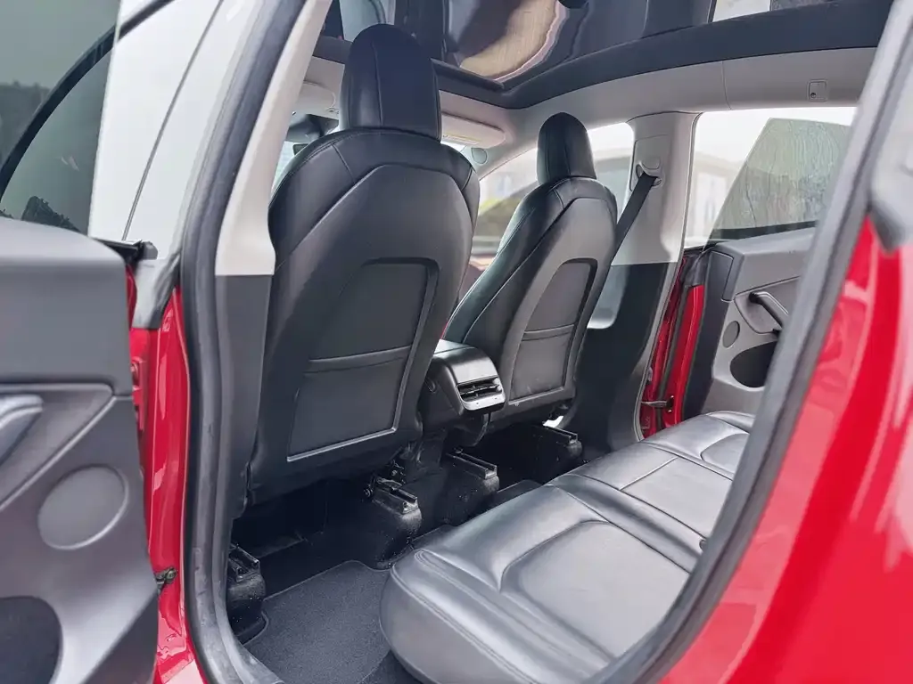 Tesla Model Y 2021 из CN, фото 3
