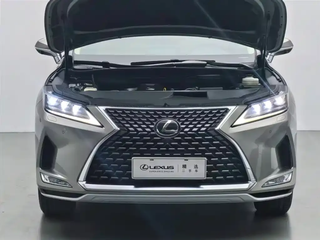 Lexus RX 2021 из CN, фото 4