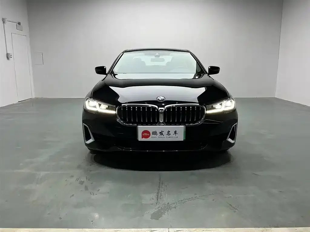 BMW 5 Series New Energy — фото 4