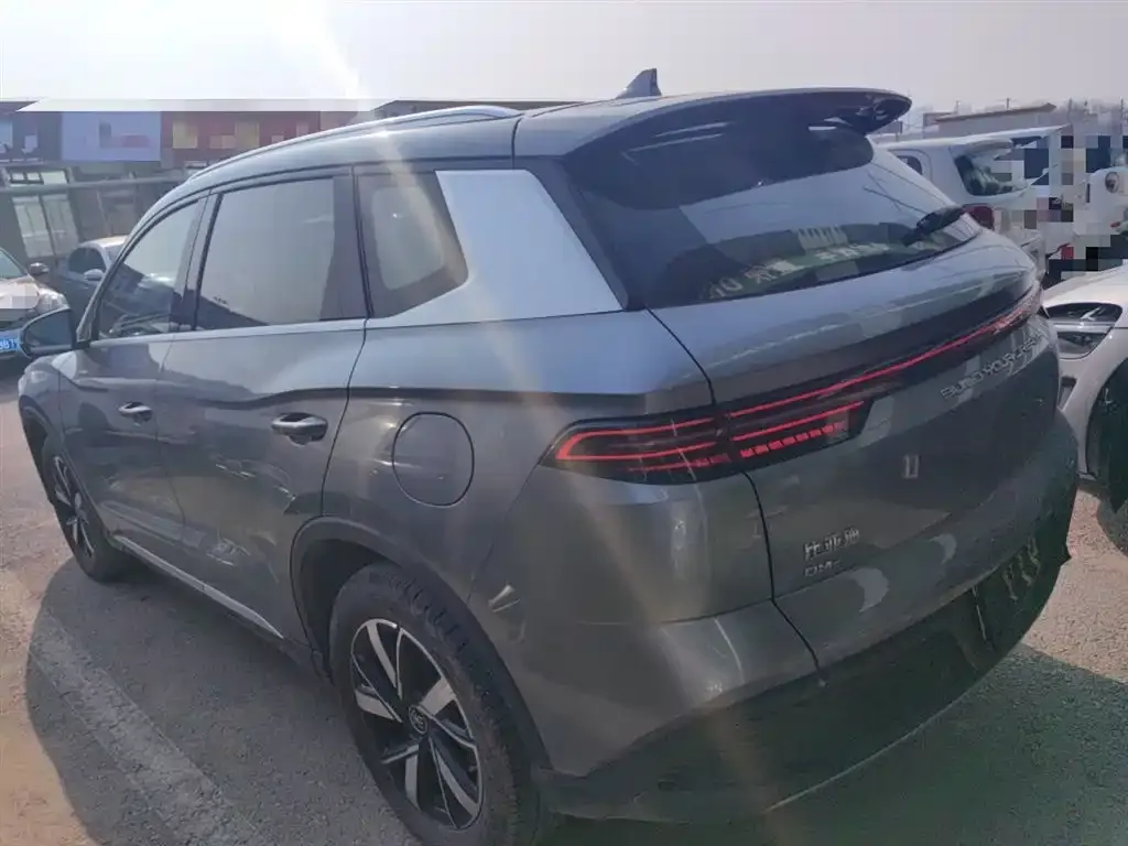 BYD Pro New Energy 2024 из CN, фото 6