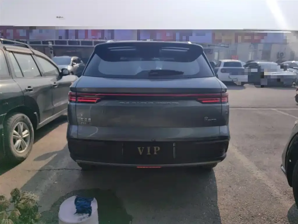 BYD Pro New Energy 2024 из CN, фото 3