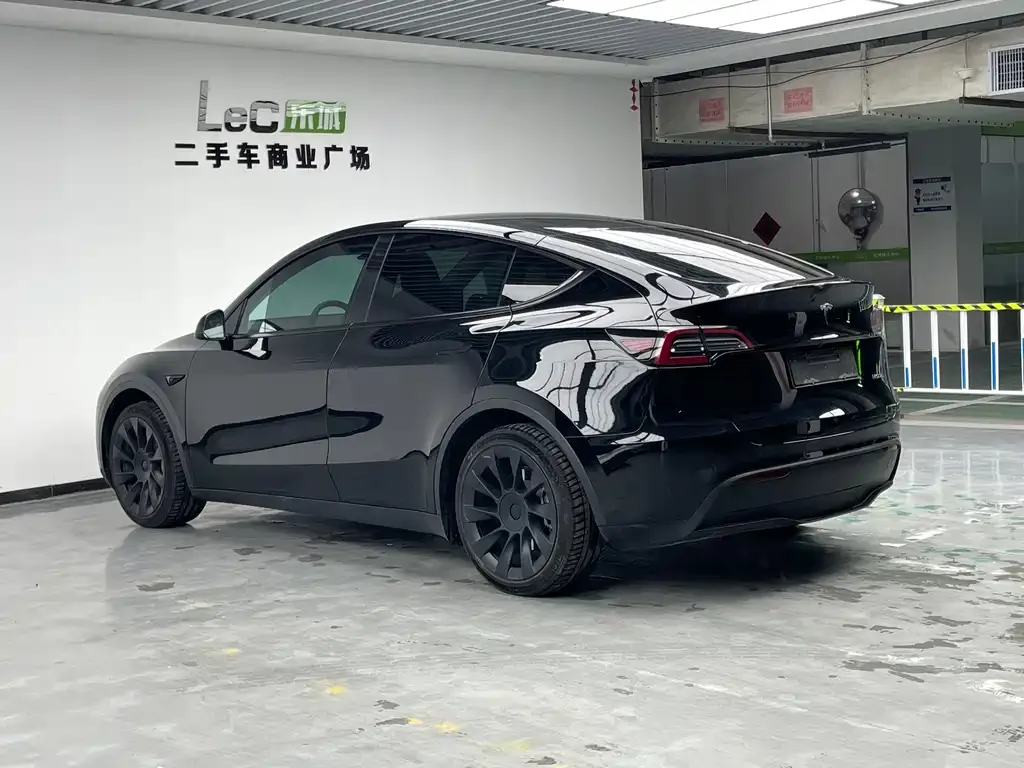 Tesla Model Y 2023 из CN, фото 5