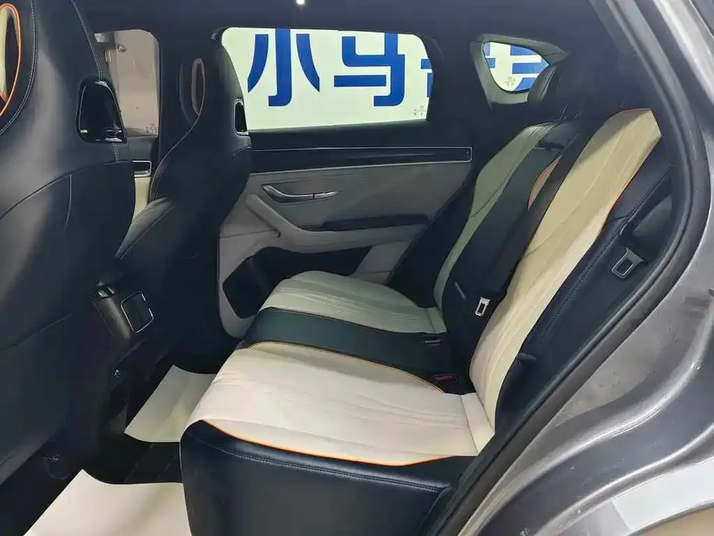 BYD PLUS New Energy — фото 3