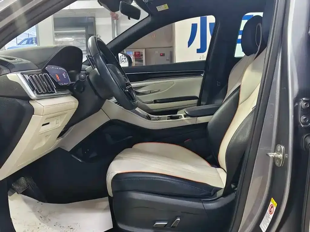 BYD PLUS New Energy — фото 6