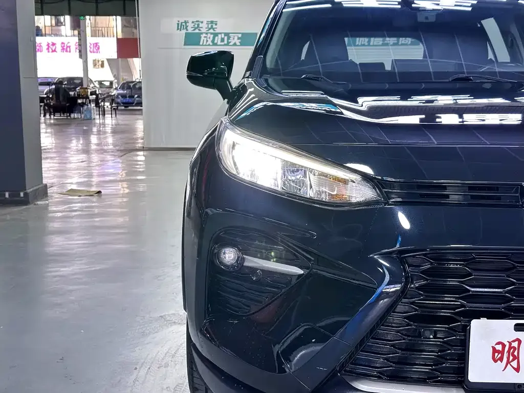 Toyota Wildlander 2022 из CN, фото 6