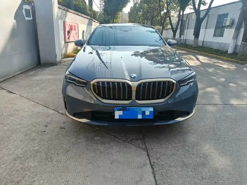 BMW 5 Series 2024 из CN, фото 9