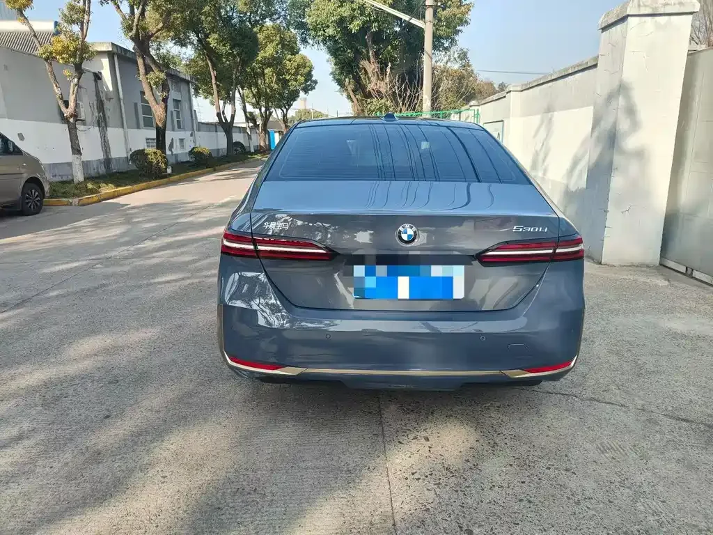 BMW 5 Series 2024 из CN, фото 5