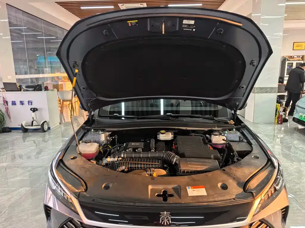 BYD Qin PLUS 2025 из CN, фото 4