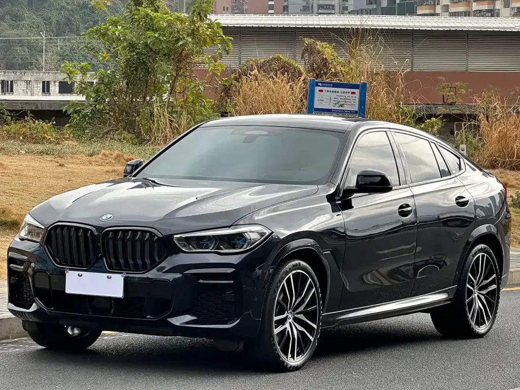 BMW X6 2023 из CN, фото 1