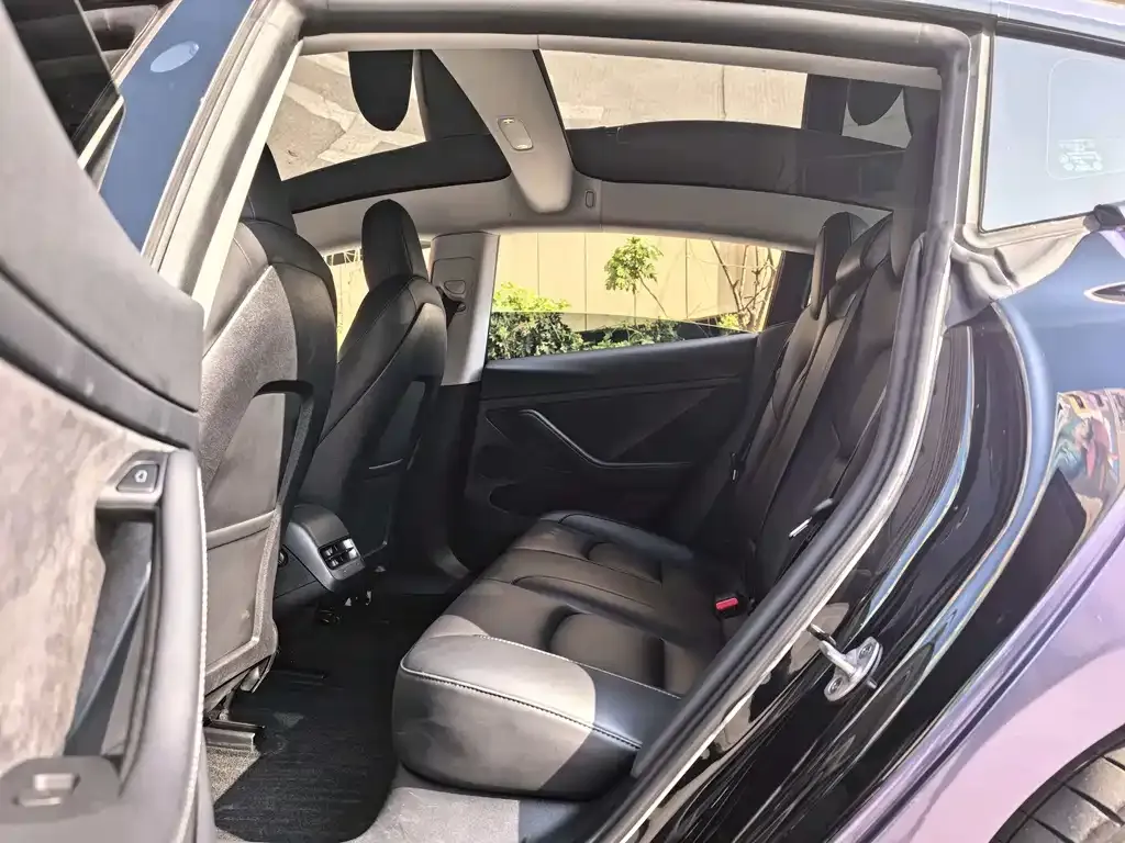 Tesla Model 3 2023 из CN, фото 5