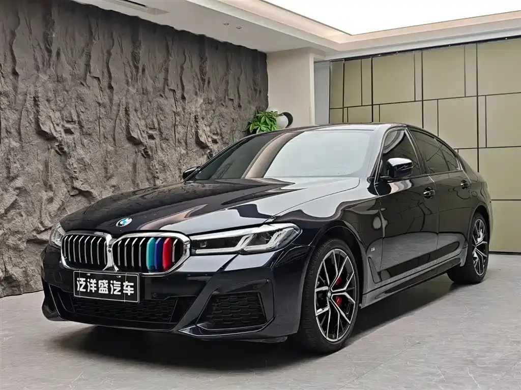 BMW 5 Series (Import) 2021 из CN, фото 1