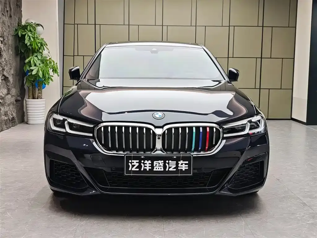 BMW 5 Series (Import) 2021 из CN, фото 8