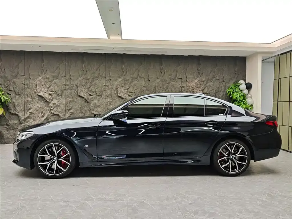 BMW 5 Series (Import) 2021 из CN, фото 2