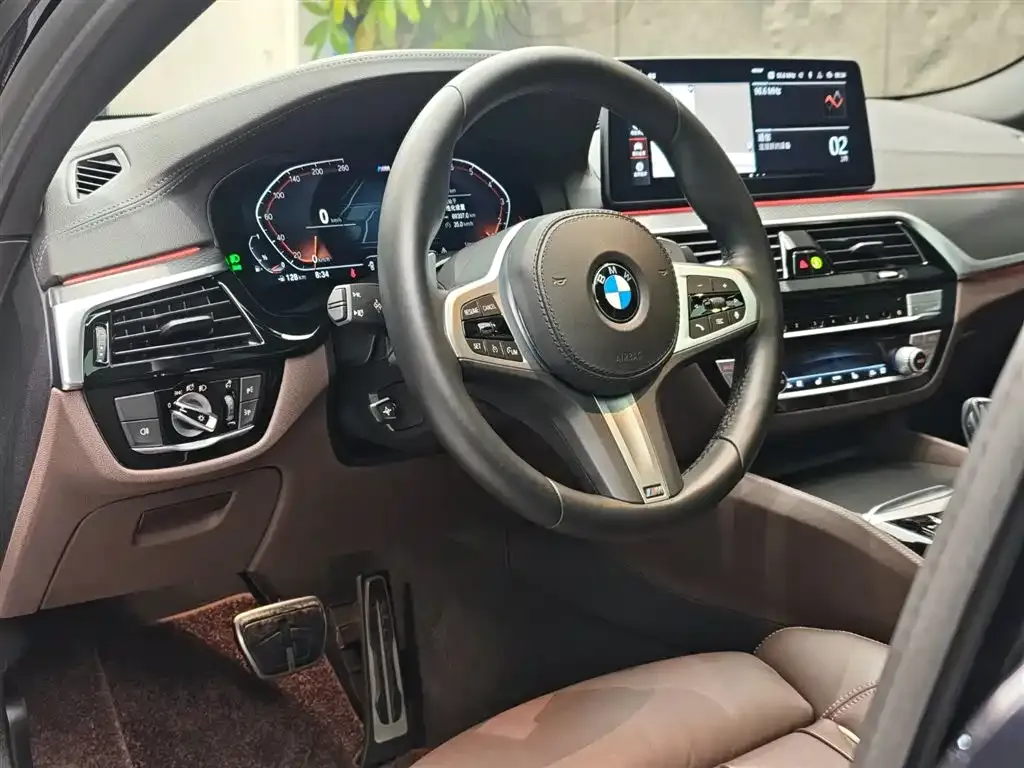 BMW 5 Series (Import) 2021 из CN, фото 3