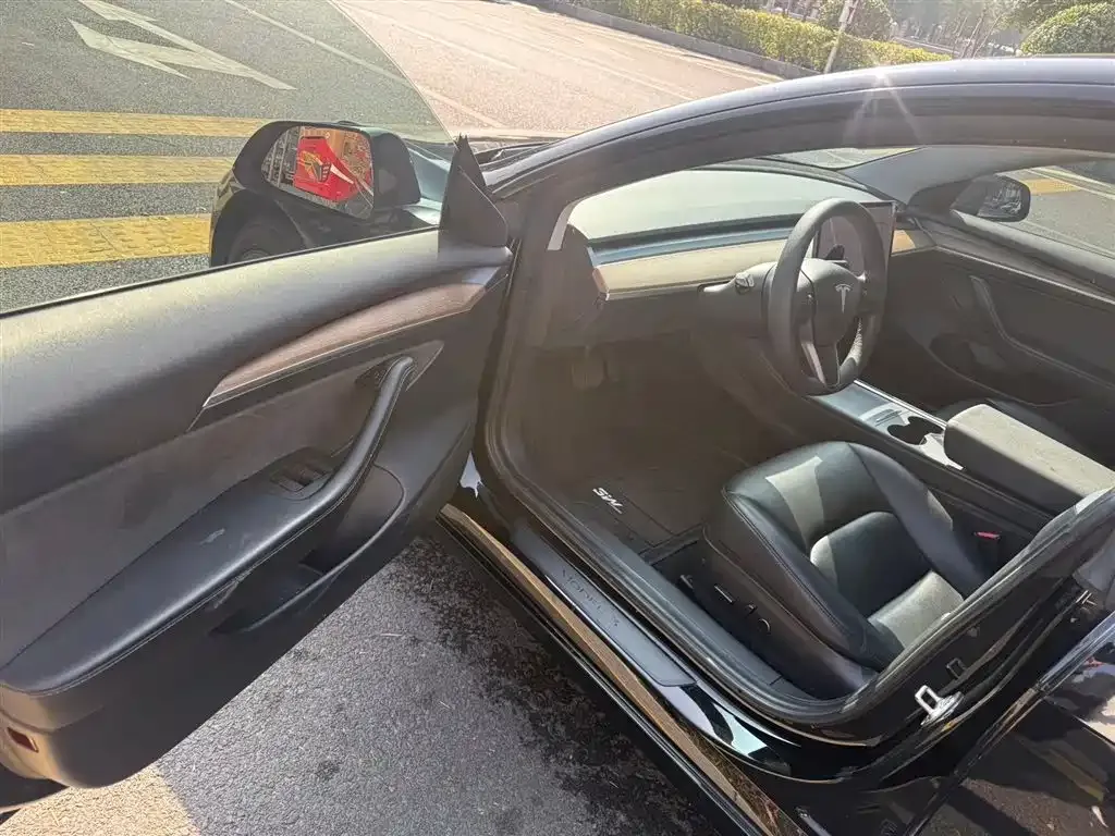 Tesla Model 3 2021 из CN, фото 6