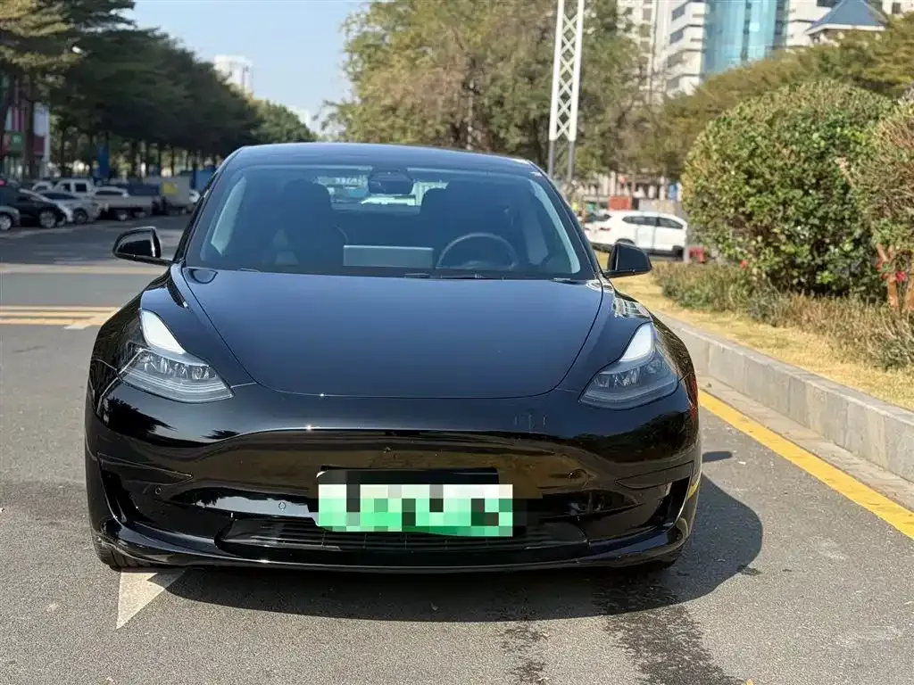 Tesla Model 3 2021 из CN, фото 7