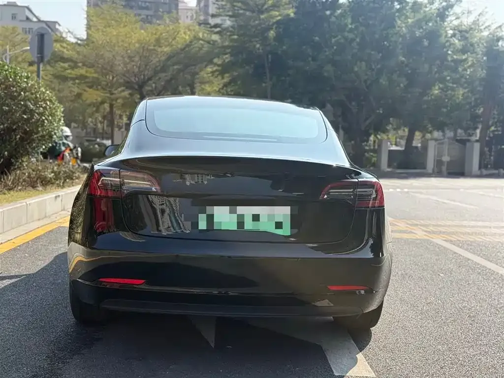 Tesla Model 3 2021 из CN, фото 8
