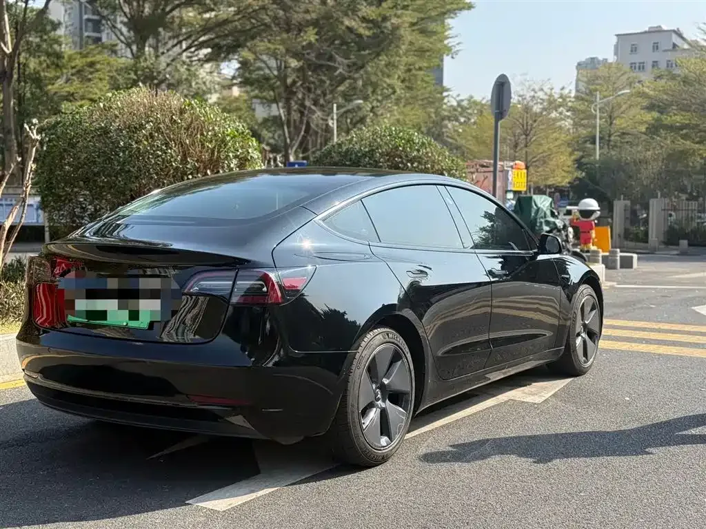 Tesla Model 3 2021 из CN, фото 10