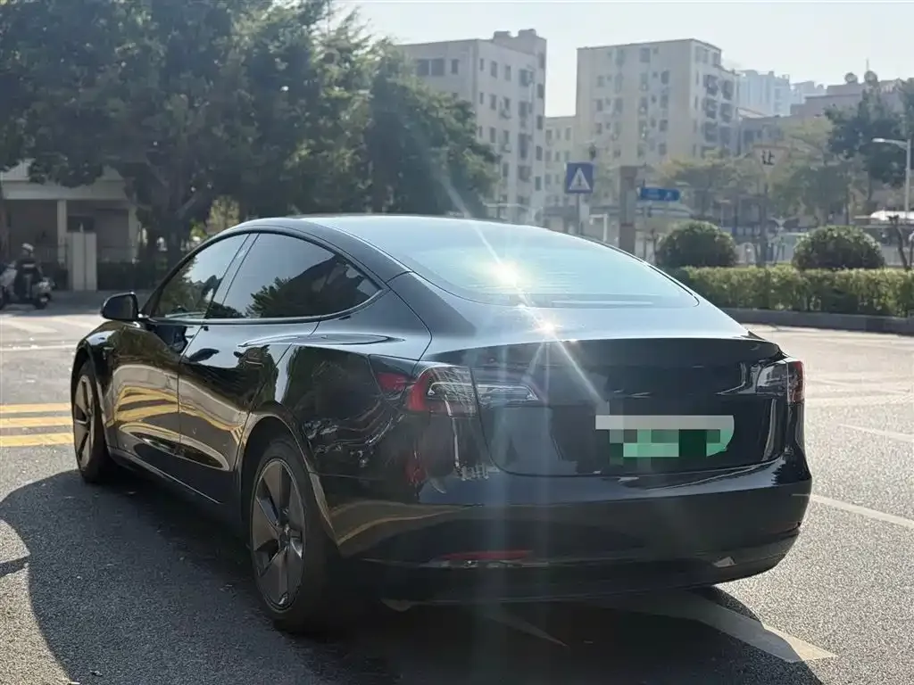 Tesla Model 3 2021 из CN, фото 5