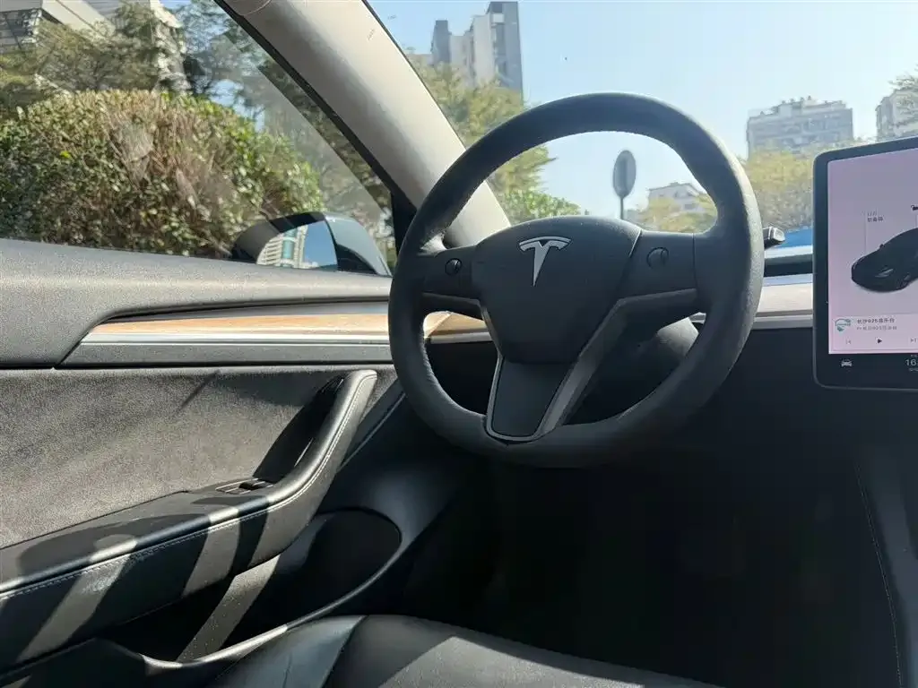 Tesla Model 3 2021 из CN, фото 4