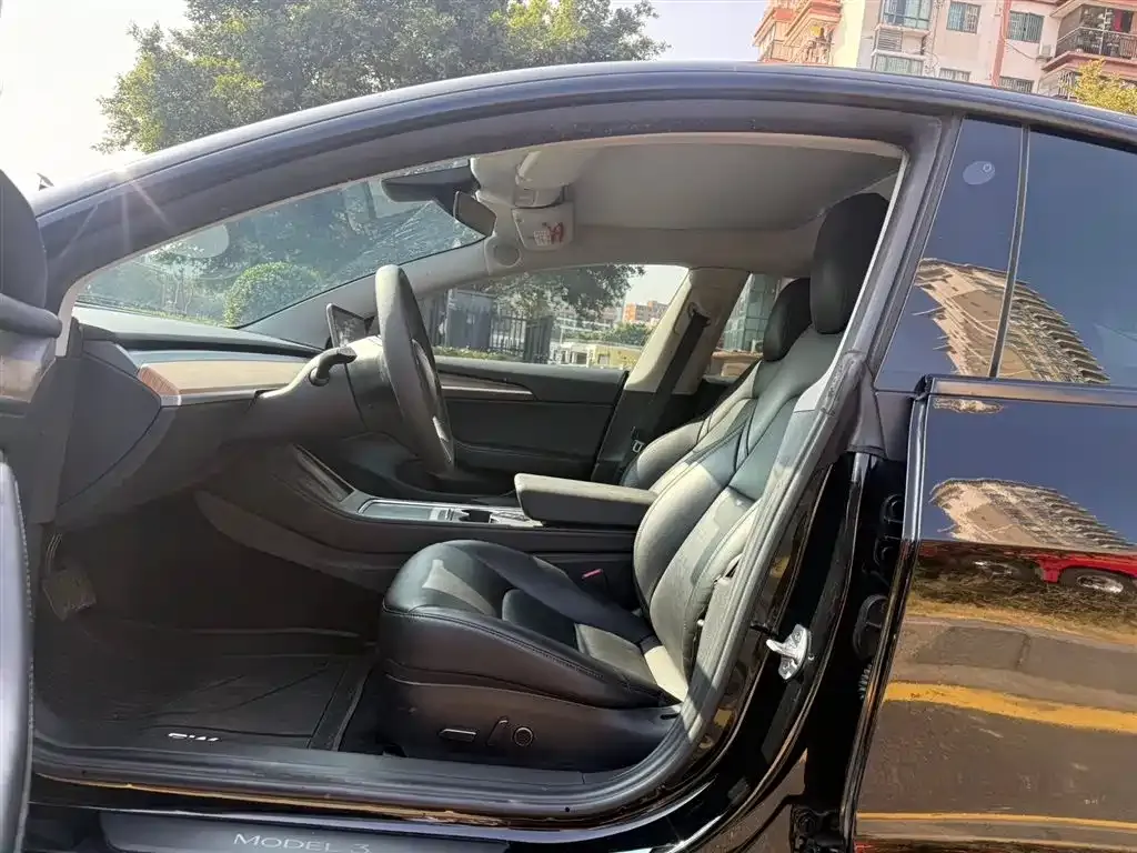 Tesla Model 3 2021 из CN, фото 3