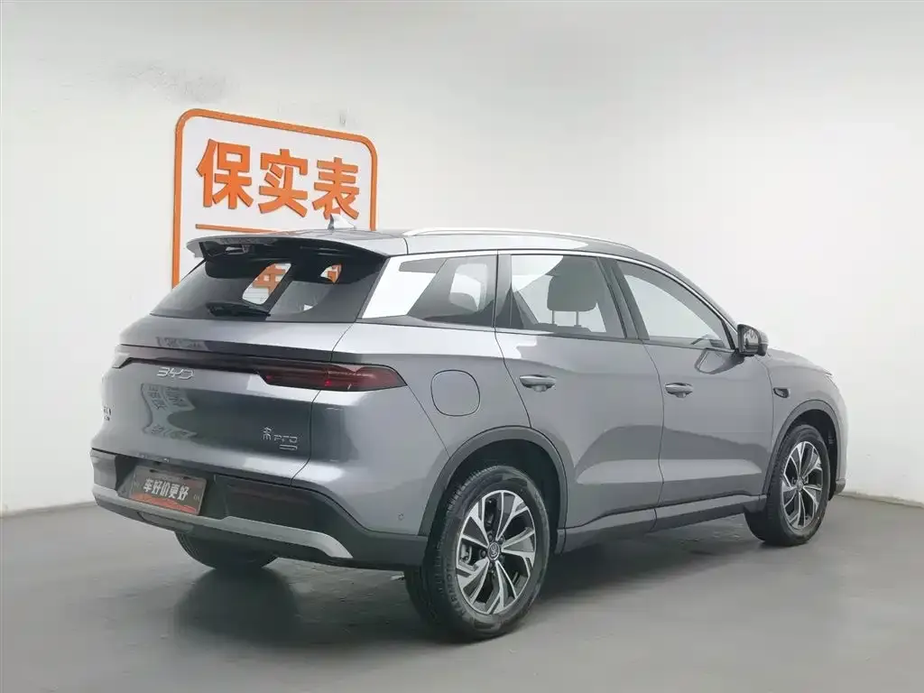 BYD Pro New Energy 2025 из CN, фото 5