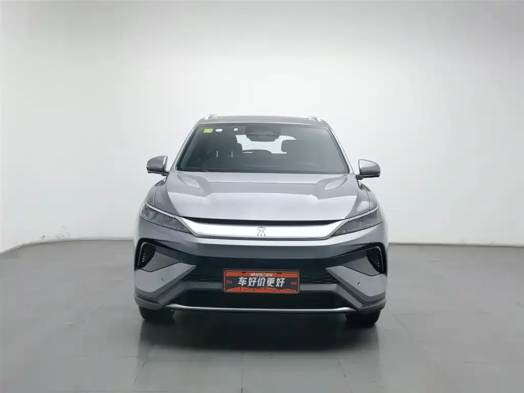 BYD Pro New Energy 2025 из CN, фото 6