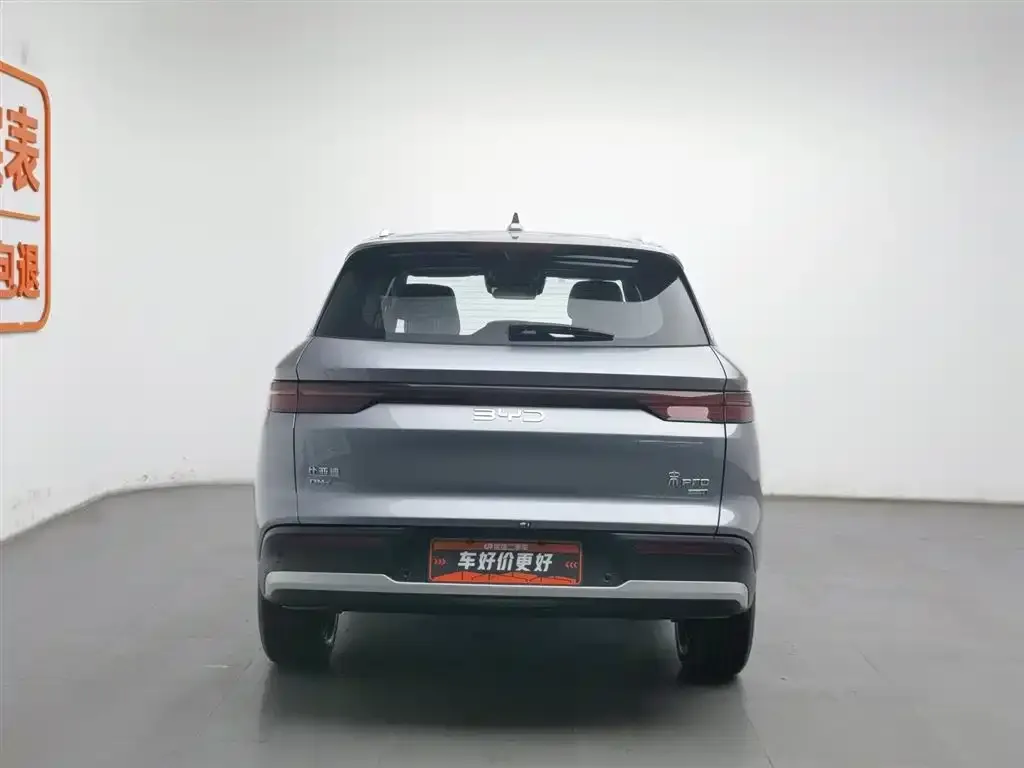 BYD Pro New Energy 2025 из CN, фото 2