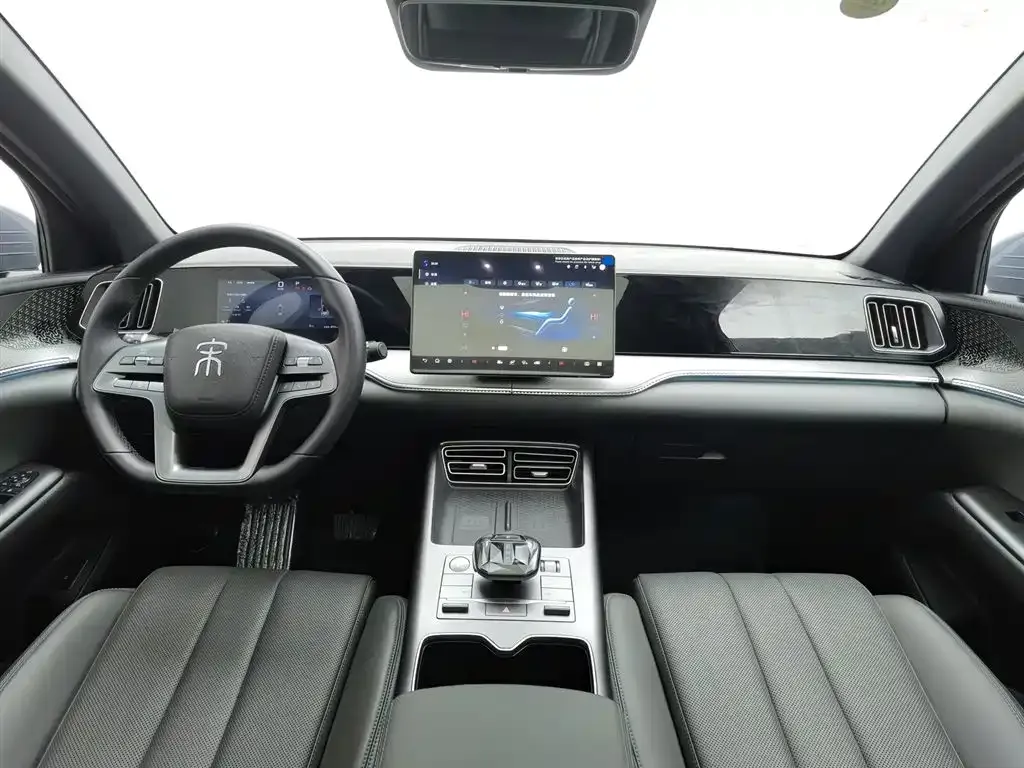 BYD Pro New Energy 2025 из CN, фото 10