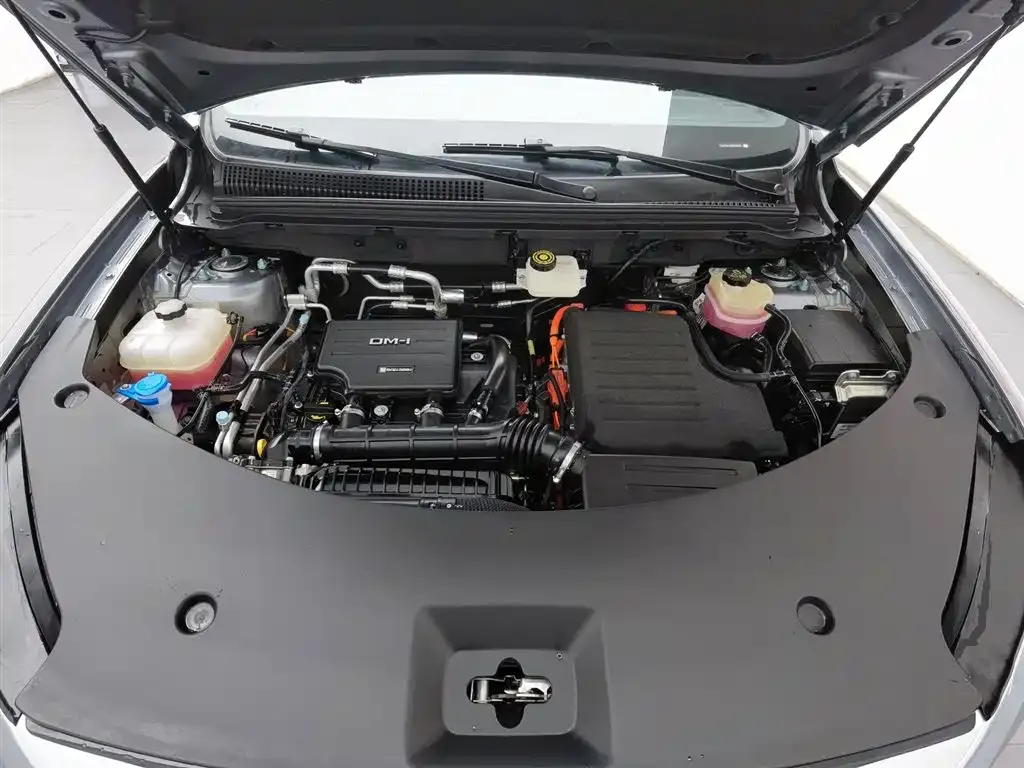 BYD Pro New Energy 2025 из CN, фото 4
