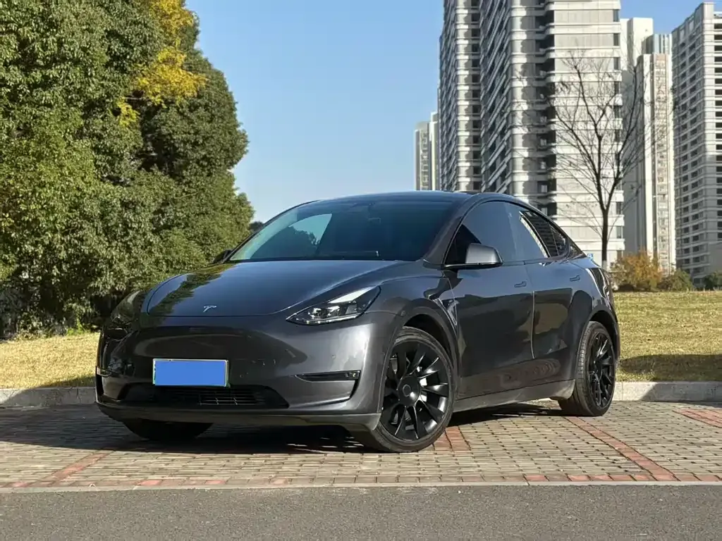 Tesla Model Y 2021 из CN, фото 1
