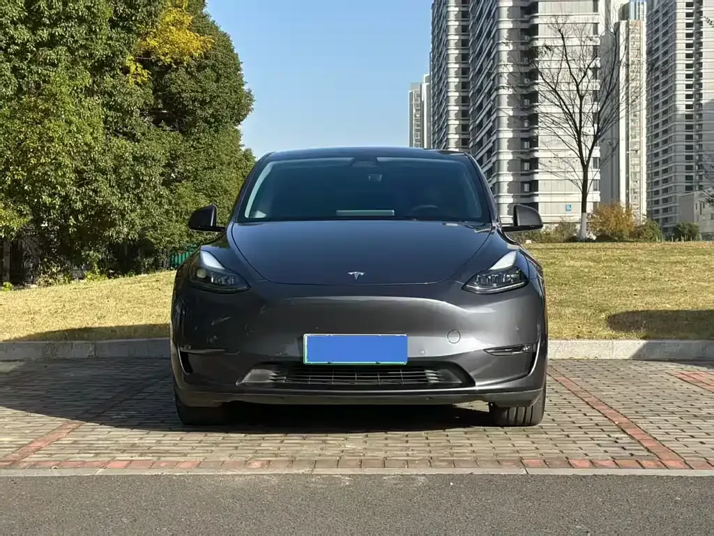 Tesla Model Y 2021 из CN, фото 9