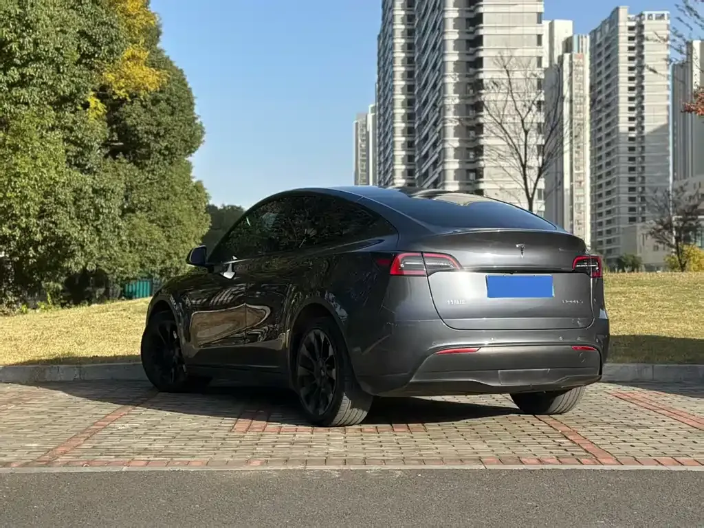 Tesla Model Y 2021 из CN, фото 5