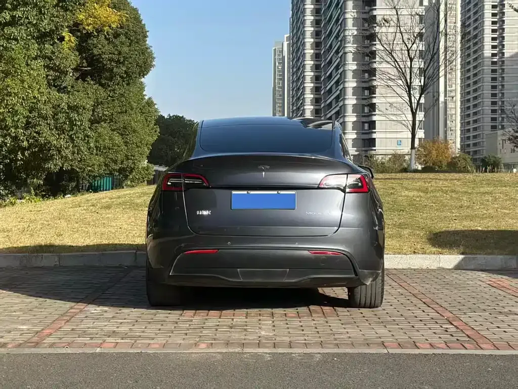 Tesla Model Y 2021 из CN, фото 8