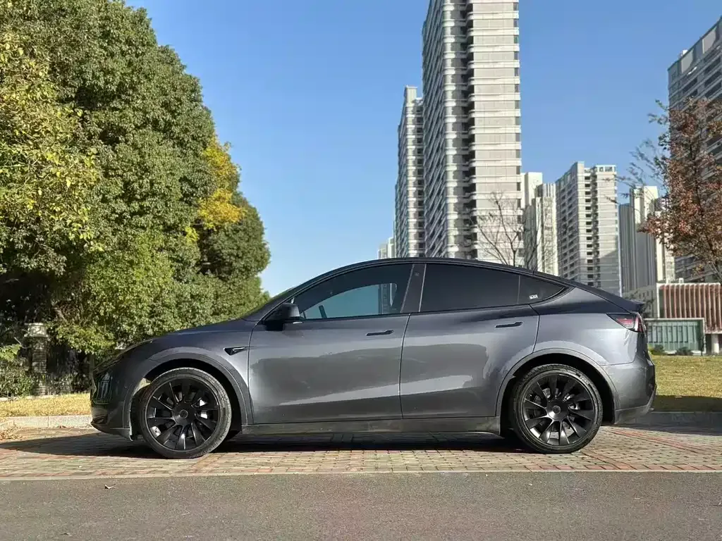 Tesla Model Y 2021 из CN, фото 6