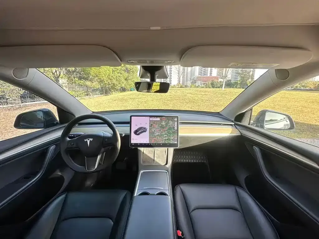Tesla Model Y 2021 из CN, фото 3