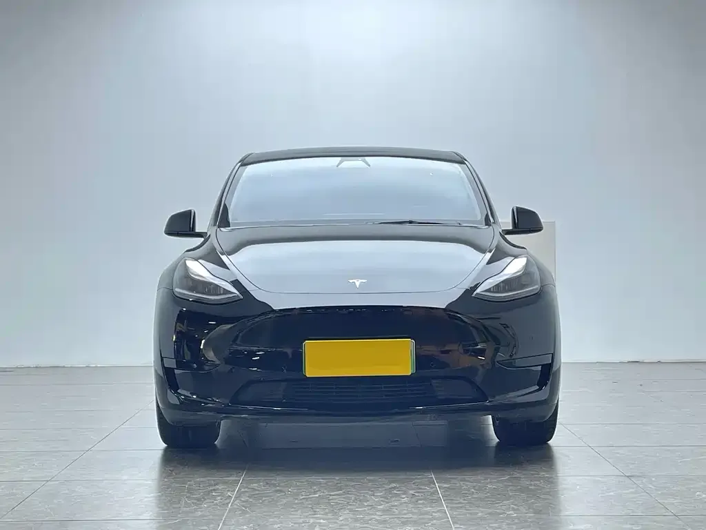 Tesla Model Y 2022 из CN, фото 2